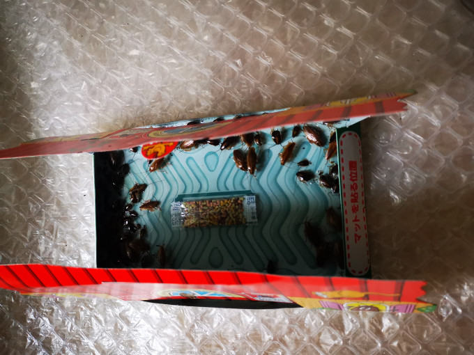 安速诱捕器