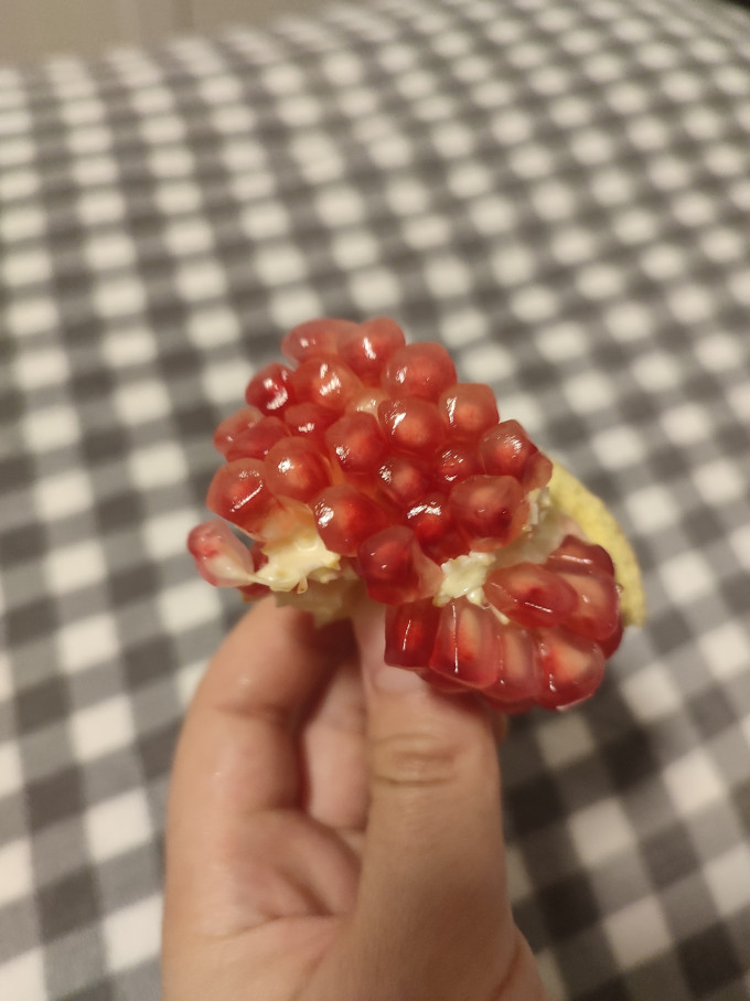 爆榴其他水果