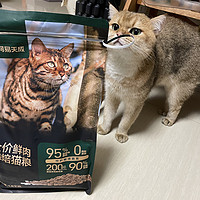 感谢网易天成投喂，猫粮的天花板配置拉满