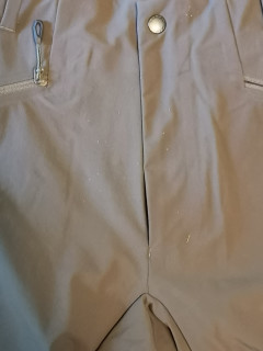 抢到一头大象
