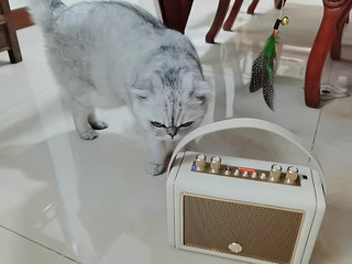 猫王音响Mate3无线蓝牙小音箱