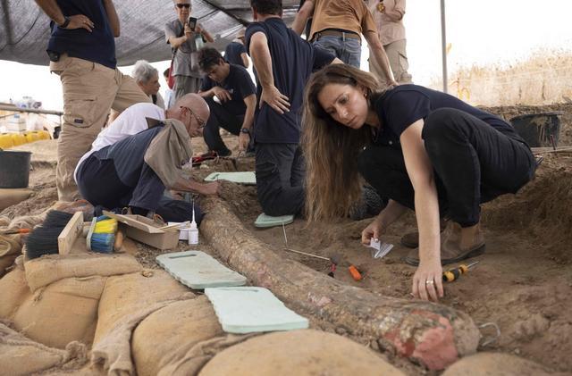 以色列南部发现50万年前完整象牙，长2.5米