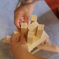 蘑菇玩早教 篇十二：亲子积木！STEAM教育中的王牌积木--PLANKS！搭建从此就这么简单
