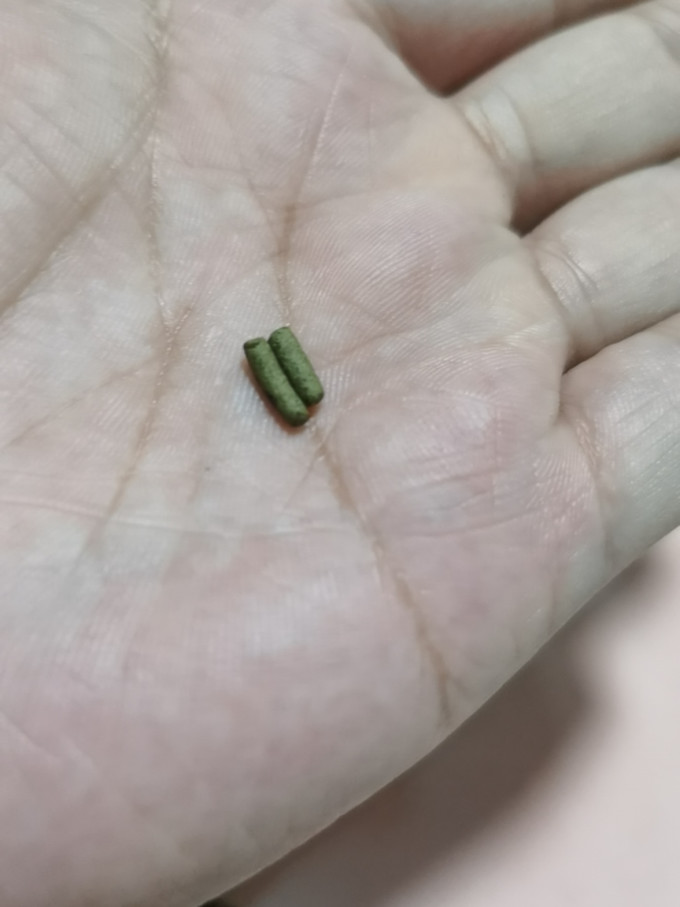 寸金龟粮