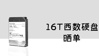 群晖空间焦虑症患者的某宝16T西数硬盘晒单