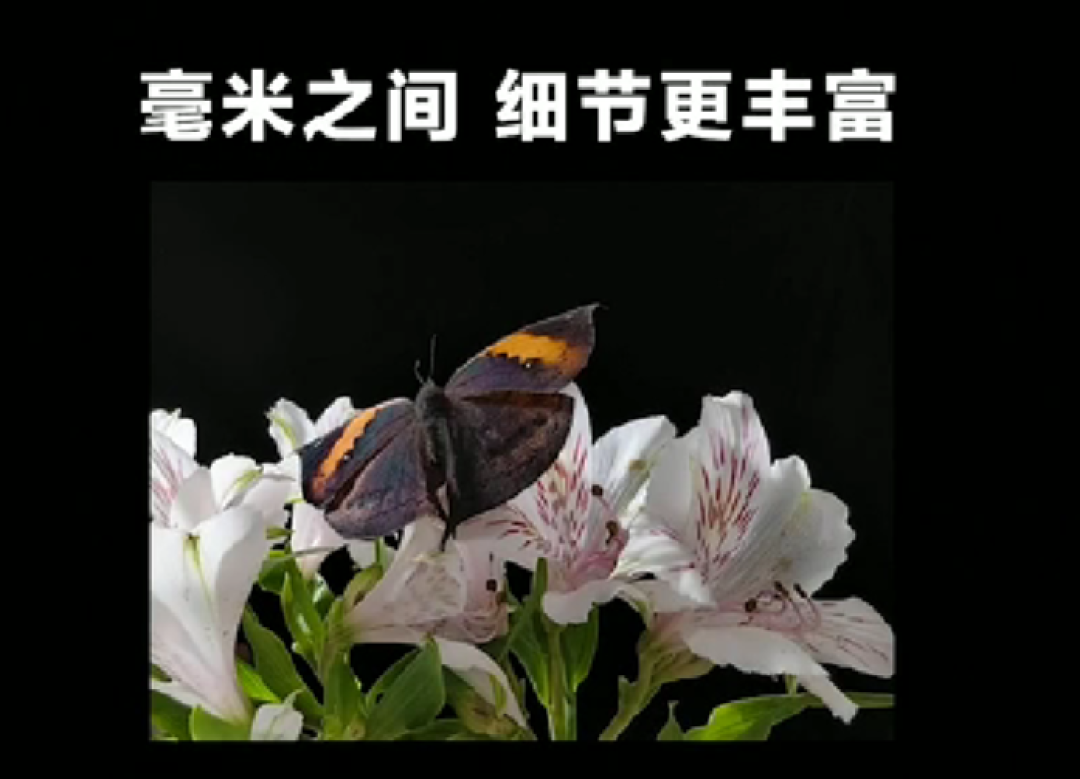 回归!华为发布 Mate 50 系列,XMAGE 影像、低轨卫星通信、全系骁龙SOC