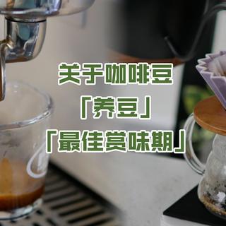 如何保存咖啡豆？说一说关于咖啡豆的“养豆”和“最佳赏味期”