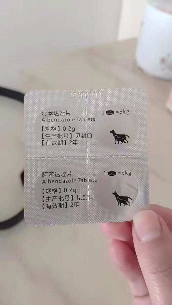 猫咪驱虫