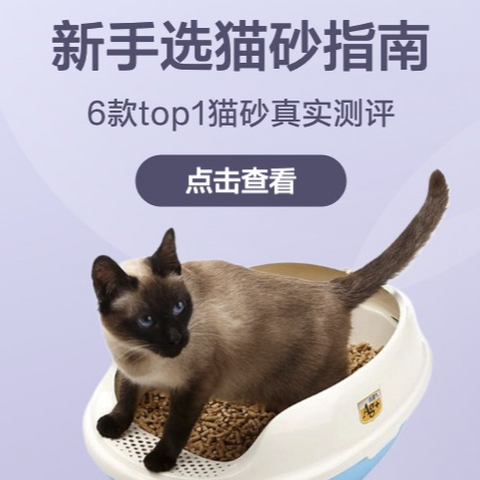 新手养猫必备猫砂，6款top级好用猫砂真实评测，低至5元/kg以下