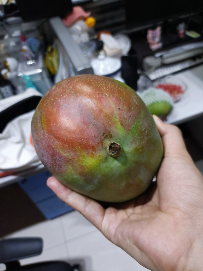 晓乡芒果