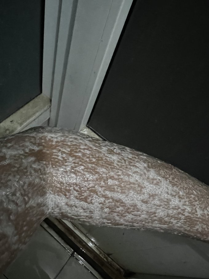 身体记忆身体磨砂膏