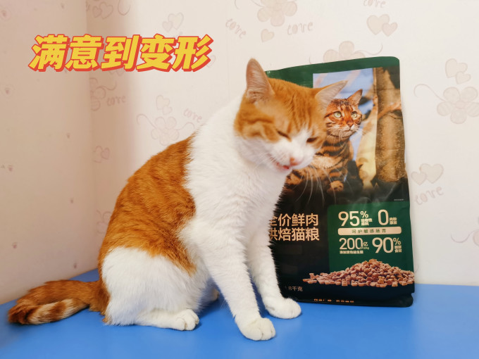 网易天成猫粮