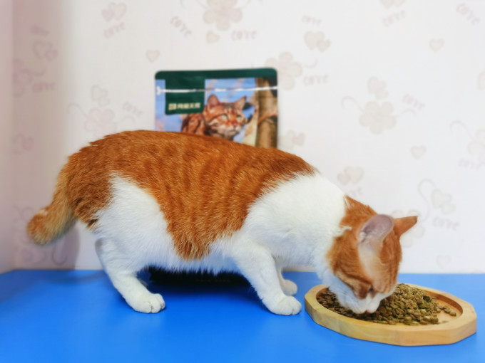 网易天成猫粮