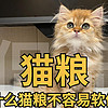 侃侃宠粮 篇十七：99购物节猫粮选购攻略， 猫咪吃渴望， 爱肯拿都会软便， 那么猫咪吃什么猫粮不容易软便？