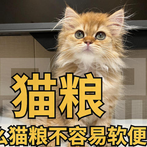 99购物节猫粮选购攻略， 猫咪吃渴望， 爱肯拿都会软便， 那么猫咪吃什么猫粮不容易软便？