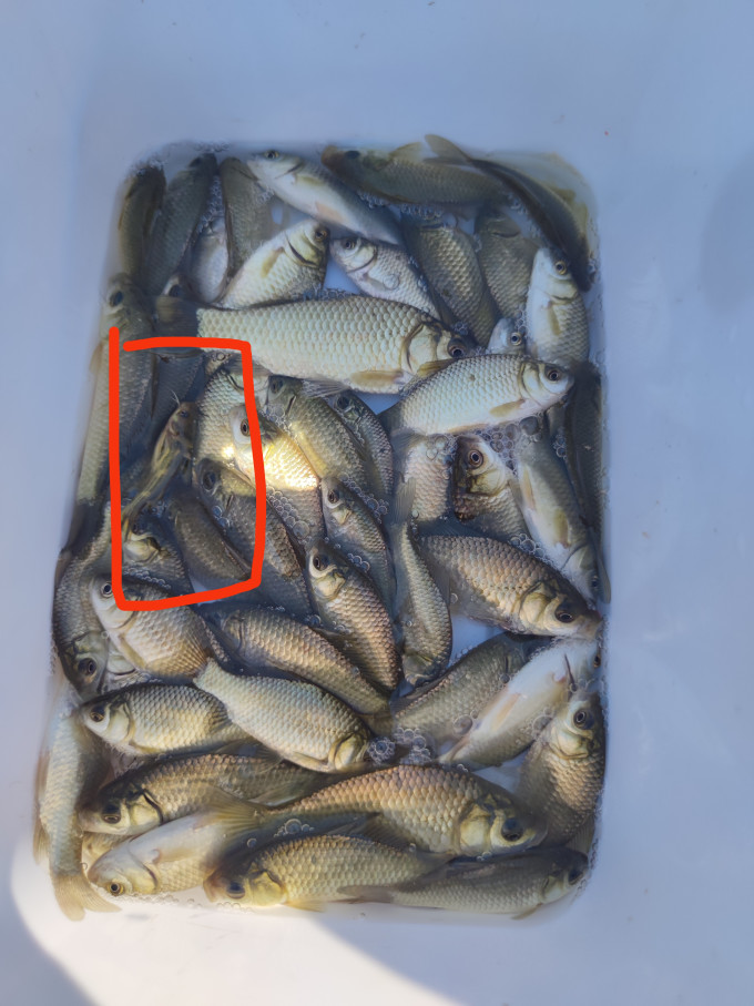 龙王恨垂钓用品