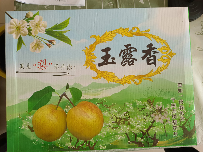 阳美土气其他水果