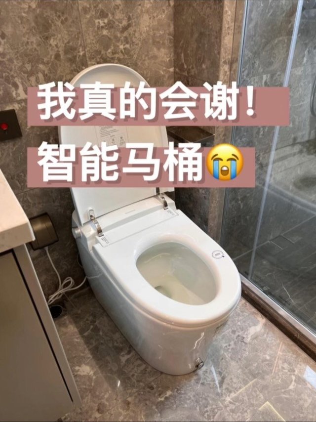 再次感慨！4k的智能马桶是真的香！  