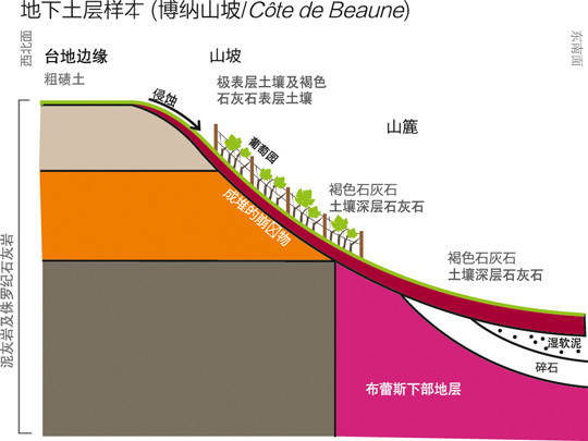 勃艮第大区酒，最入门？最坑爹？