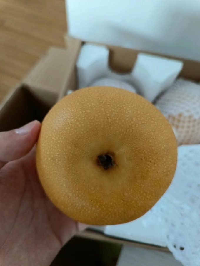 其他水果