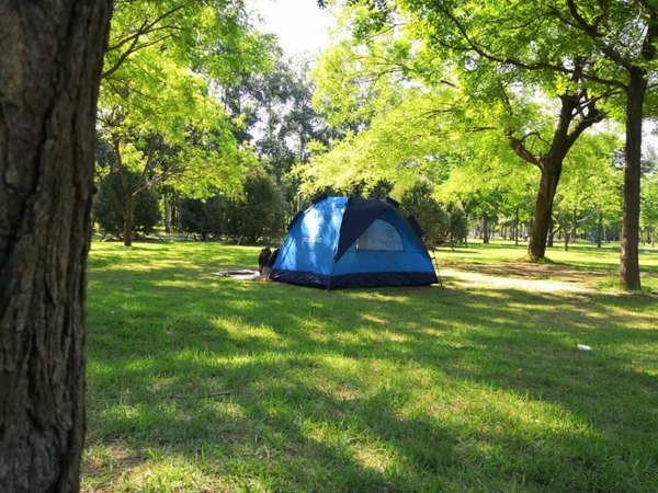 帐篷质量还可以，看起来比其他同价位帐篷骨