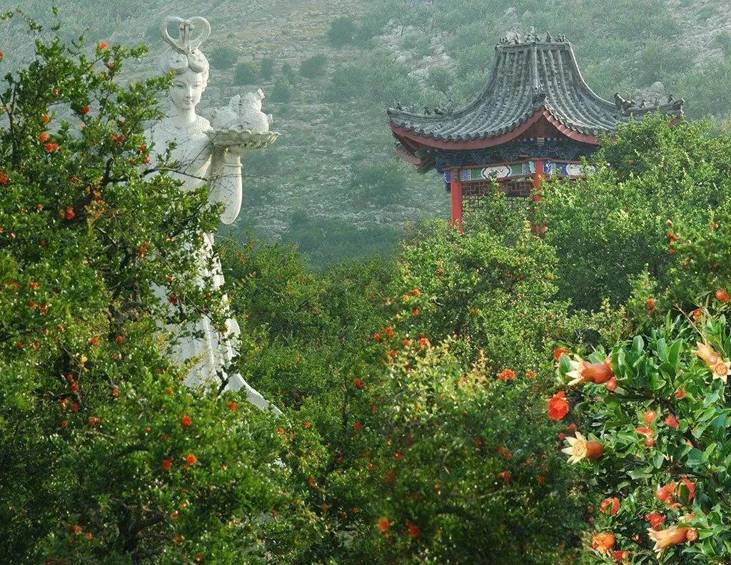 地处山东峄城的冠世榴园，原为青檀山，“青檀秋色”为古峄县八景之一。©印象枣庄