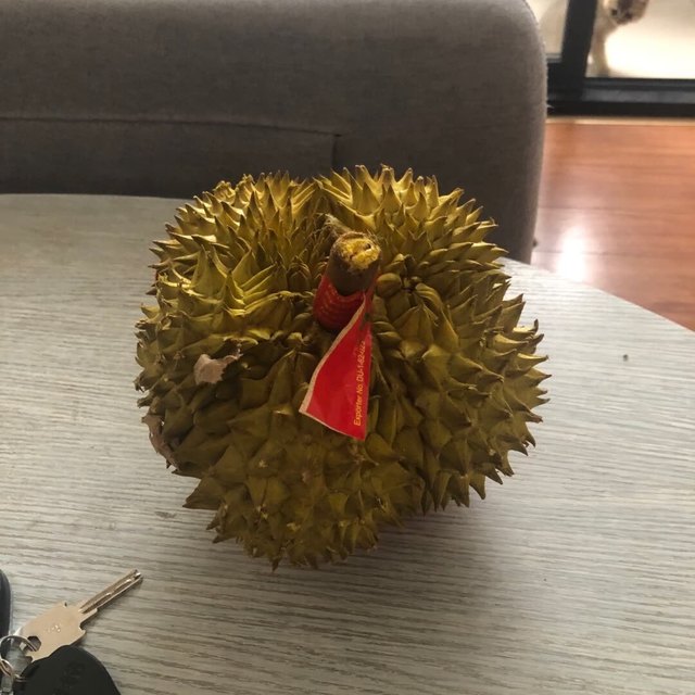
五房的榴莲，血赚。买了好多次了
