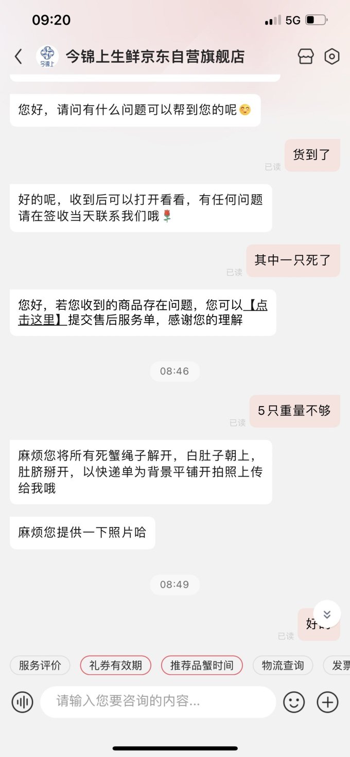 今锦上