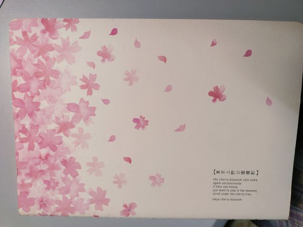 少女心满满的樱花B5车线本！