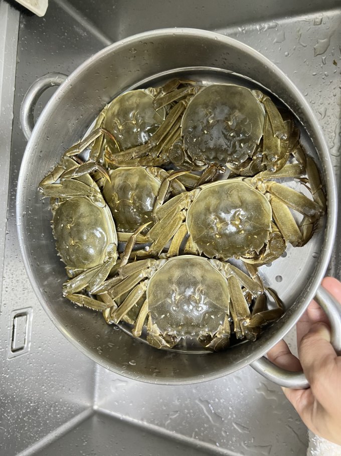 今锦上蟹类