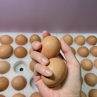 听说鸡蛋不要买太大的，请问我这个算大吗？