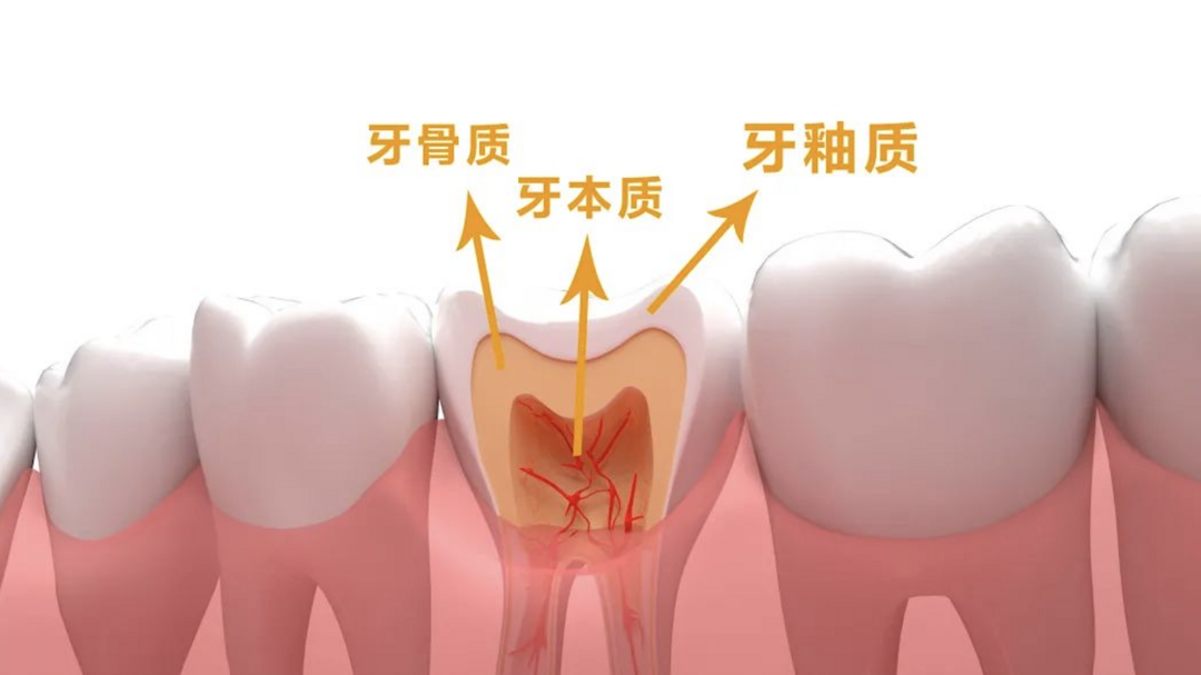 口臭、牙黄、牙齿敏感？这嘴里的事儿真不少！这篇口腔护理干货帮你一波搞定！