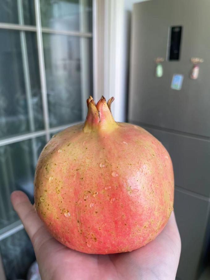 新鲜水果