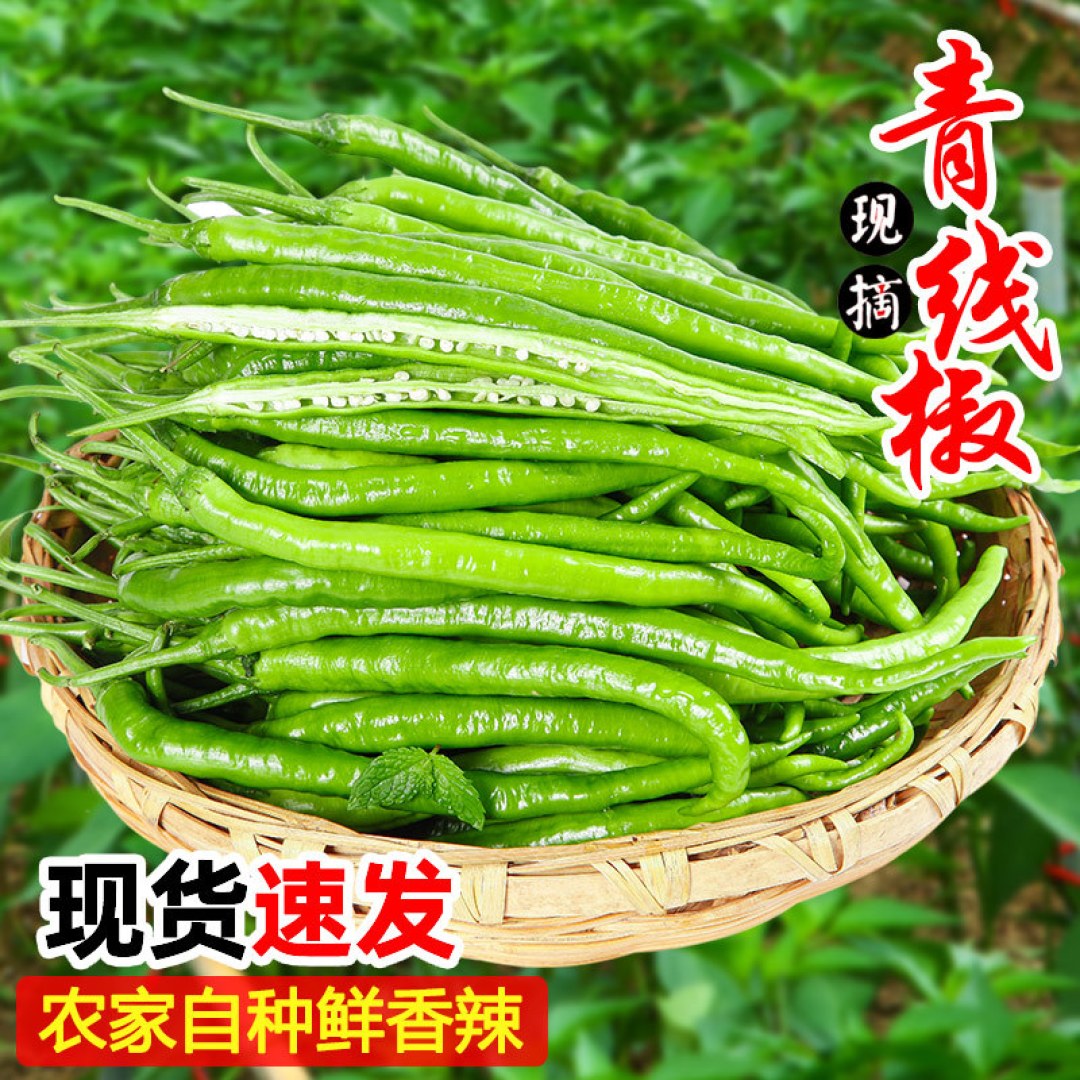 国庆期间就响应就地过节号召,窝家里,天天就是研究怎么吃,一枚青椒做菜,也可以整出诱人美食