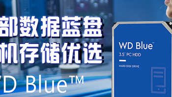 西部数据(Western Digital)蓝盘 2TB SATA6Gb/s 256MB 7200RPM 台式机械硬盘杠杠滴