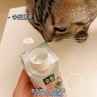 是什么神仙奶连猫猫都想凑过来闻闻？！