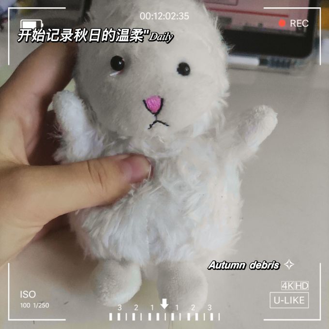 毛绒布艺