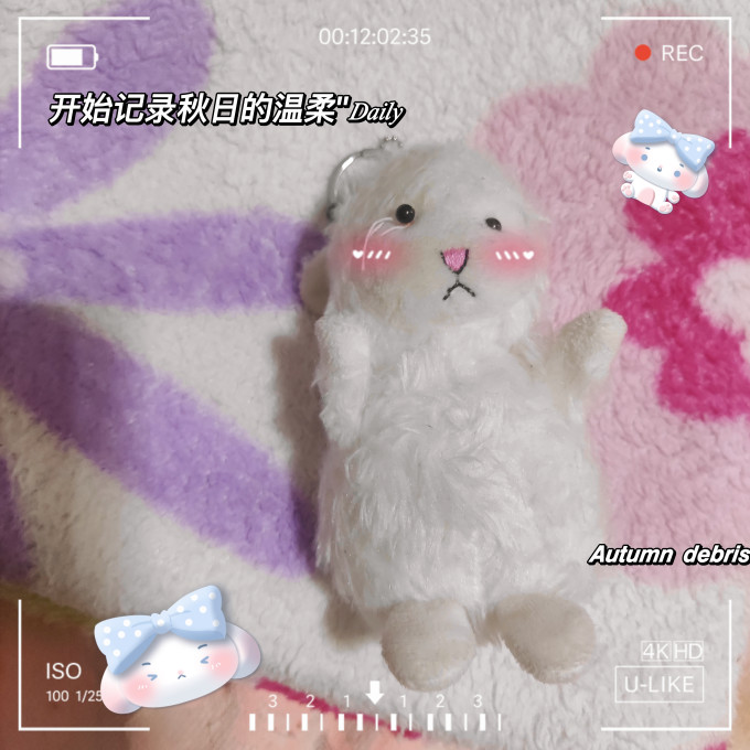 毛绒布艺