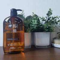 控油洗发水,就是它了!