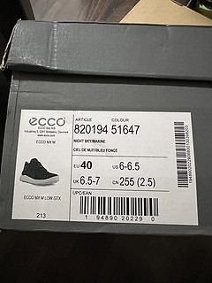 ECCO MX GTX