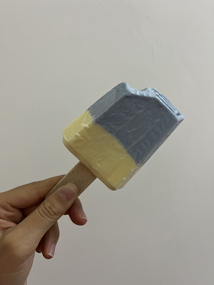 钟薛高冰淇淋/雪糕