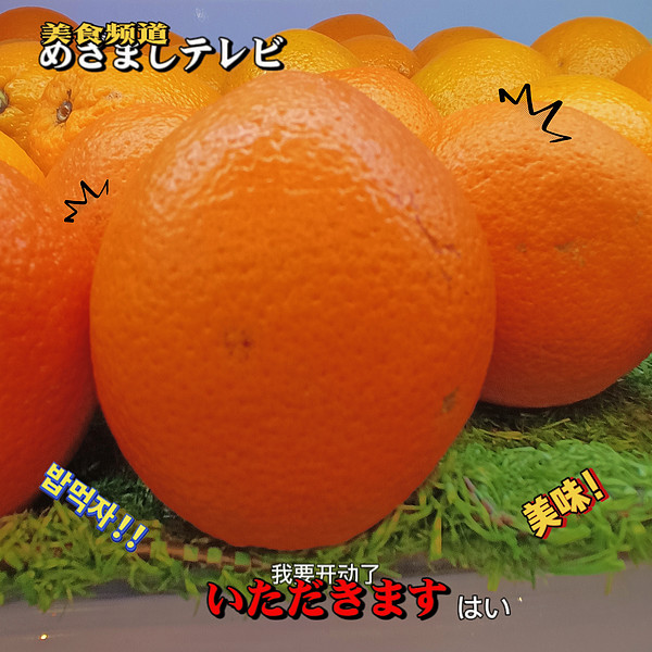 好大一个橙子呀！！