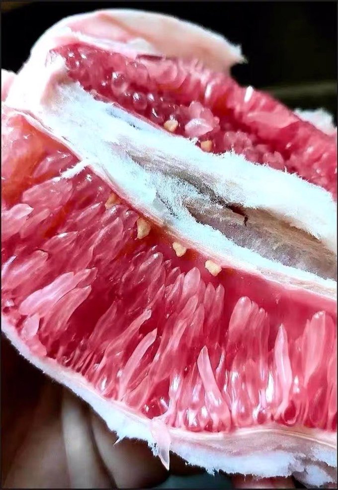 柚子