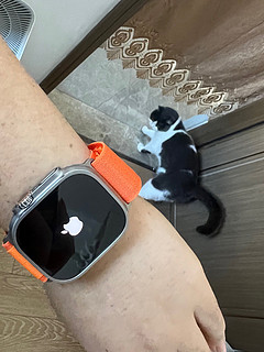 apple watch ultra使用体验