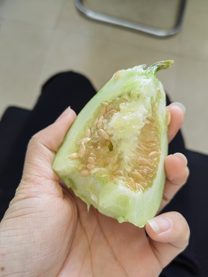 振豫葡萄/提子