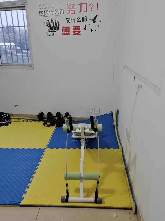 艾雷斯仰卧板