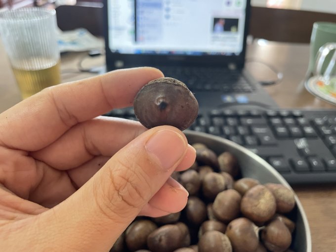 栗小胖蔬菜
