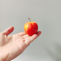 这是我见过最小的苹果，有谁知道是什么品种