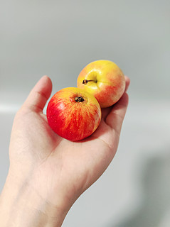 这是我见过最小的苹果，有谁知道是什么品种