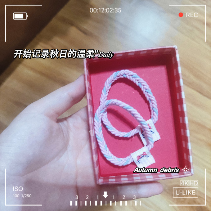 美丽公主发饰